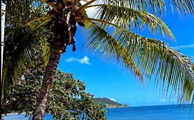 Island Tropics On Magnetic Island